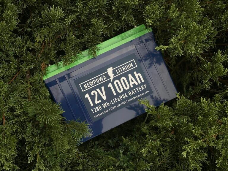 lifepo4 leisure battery